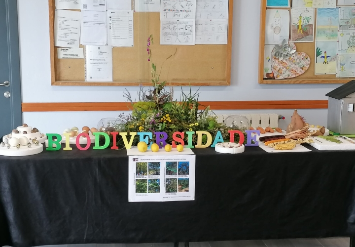 Exposição I BIODIVERSIDADE